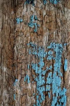 Bark texture background , wallpaper , pattern close up Stock Photos