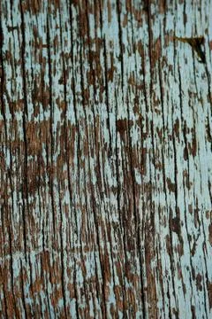 Bark texture background , wallpaper , pattern close up Foto stock