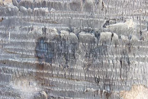 Bark texture Stock Photos