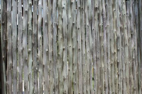 Bark Texture Stock Photos