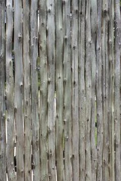 Bark Texture Stock Photos