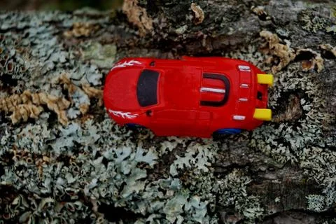 Bark of tree 12 Stock Photos