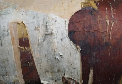 Bark of tree 14 Stock Photos