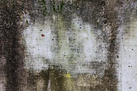 Bark of a tree, abstract image Stock Photos