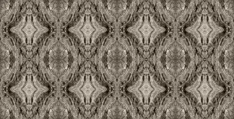 Bark of tree Stock Illustration