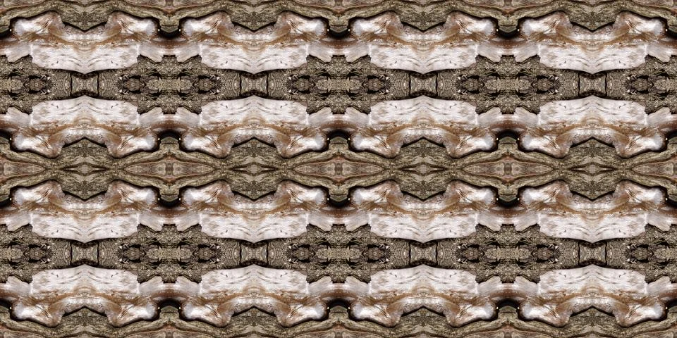 Bark of tree Stock Illustration