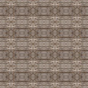 Bark of tree Stock Illustration