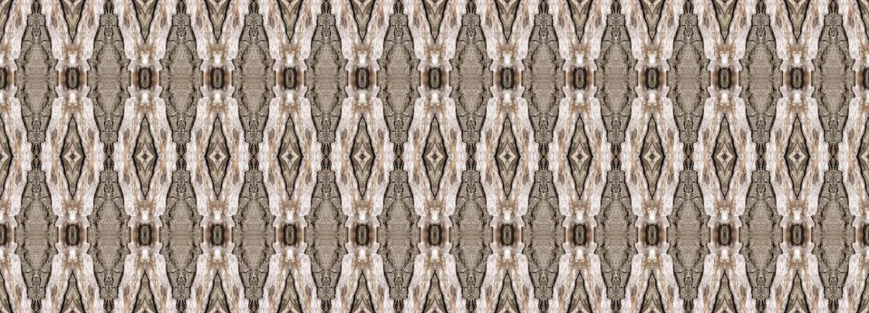 Bark of tree Illustrazione stock