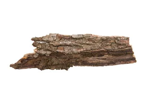 The bark of the tree is isolated on a white background. wooden texture Stock Photos