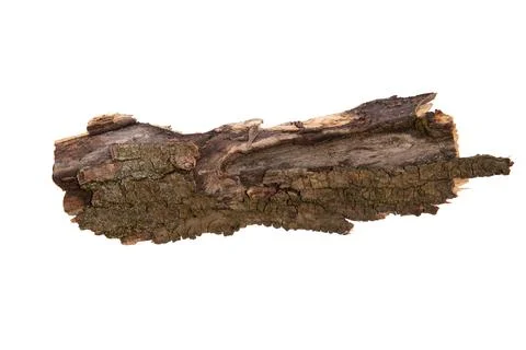 The bark of the tree is isolated on a white background. wooden texture Stock Photos