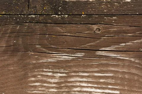 Bark of tree. Seamless brown tree bark texture Stock Photos