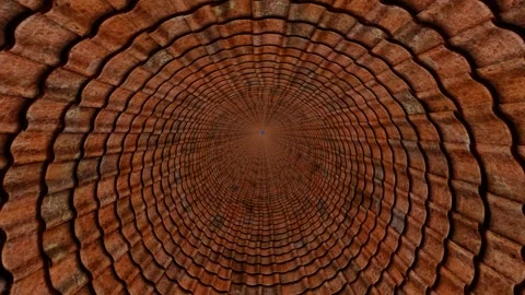 Bark-Like Tree Texture in Circular Motion Stock Footage 318954848