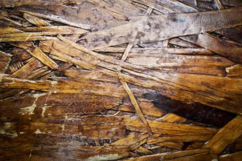 Bark tree texture with soft light . Stock Photos