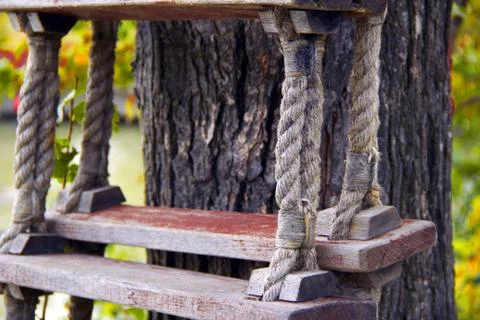 Bark wood Stock Photos