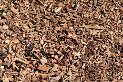 Bark Woodchips. Stock Photos