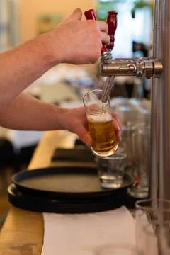 Barkeeper Stock Photos