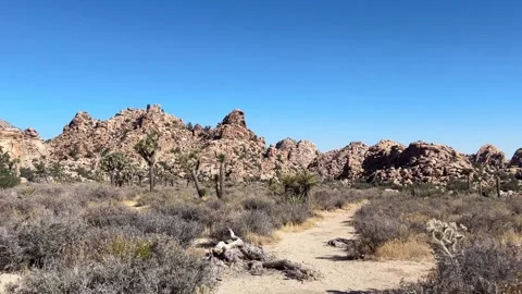 Barker Dam Trail Walking POV Stock Footage 336344656