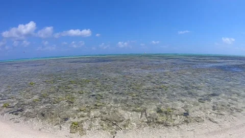 Barkers Beach 1 Stock Footage 261194277