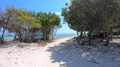 Barkers Beach 2 Stock Footage 261194324