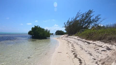 Barkers Beach 3 Stock Footage 261194253