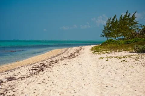 Barker's Beach Stock Photos