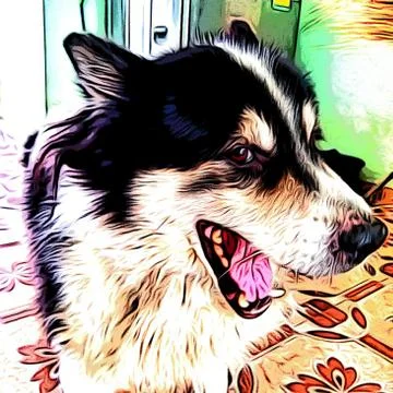 Barking Dog Stock Photos