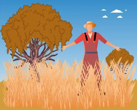 Barley Concept Illustration Stock Illustration