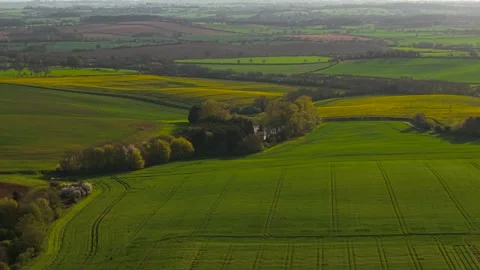Barley fields spreading over gentle slopes with hedgerows dividing farmland into Stock Footage 339343146