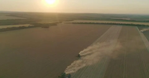 Barley gathering at the sunset Stock Footage 109421178