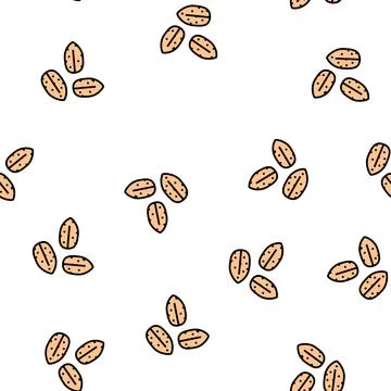 Barley grain peeled vector seamless pattern Stock Illustration