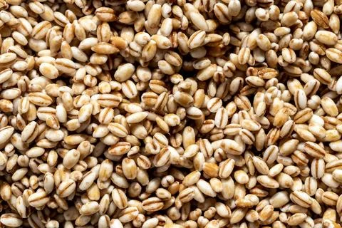 Barley grains background or texture. Healthy vegeterian food. Stock Photos