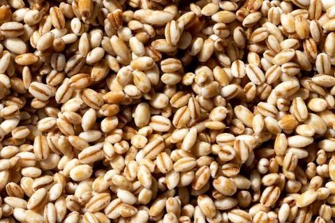 Barley grains background or texture. Healthy vegeterian food. Stock Photos