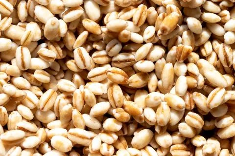 Barley grains background or texture. Healthy vegeterian food. Stock Photos