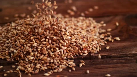 Barley grains falling on table Stock-Footage 157920860