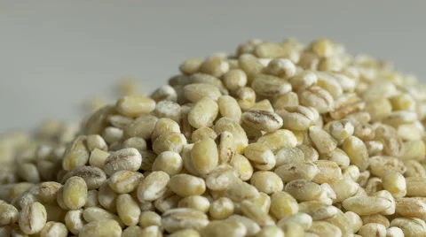 Barley macro close up Video stock 45836040