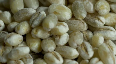 Barley macro close up Stock Footage 45836055