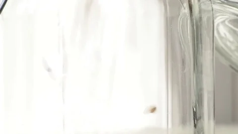 Barley malt Stock Footage 70897063