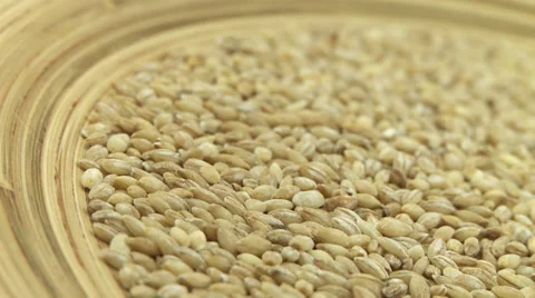 Barley mash 1 Vídeos de archivo 31144017