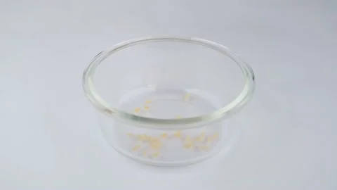 Barley noodle slow motion Stockbeeldmateriaal 236452085