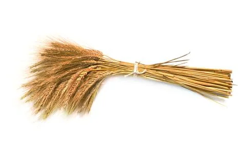 Barley Stock Photos