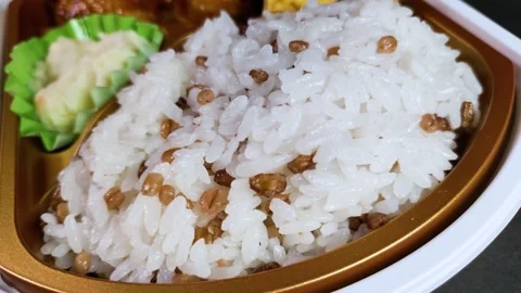 Barley rice bento close up rotating Stock Footage 315920343
