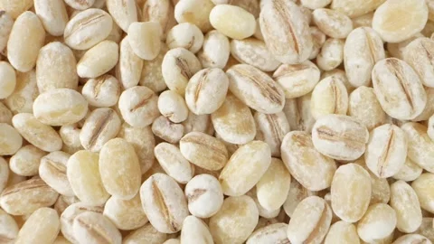 Barley seeds without hulls Stock Footage 246631673