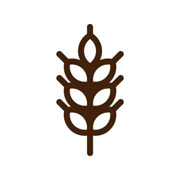 Barley spike or corn ear. Bakery, bread or agriculture logo concept. Illustration