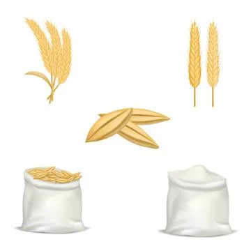 Barley wheat hops mockup set, realistic style Illustrazione stock