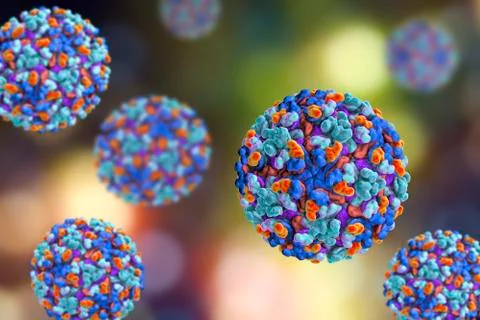 Barmah forest virus Stock Illustration