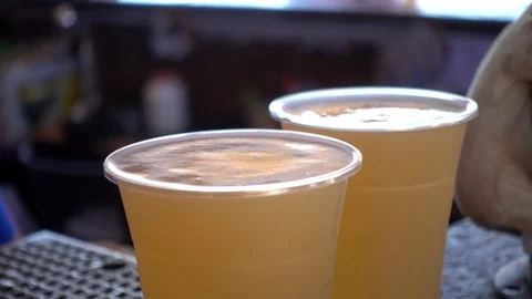 The Barman poured two Plastic Cups of Beer on the Bar Counter Stock Footage 77837161