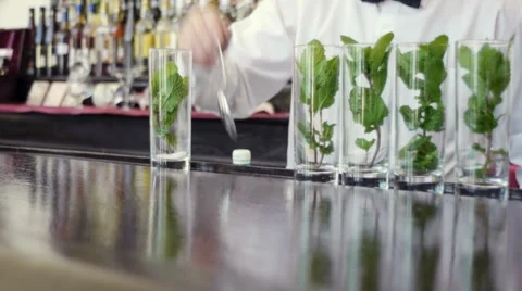 Barman preparing mojito in pub Stock Footage 5308362