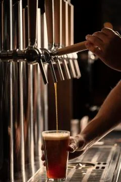 Barman who is tapping a beer Stock Photos