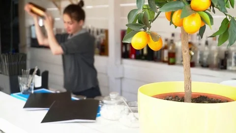 Barman woman making cocktail on the bar near the tangerine tree Stock Footage