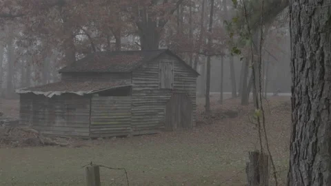 Barn 2 Video stock 168214876